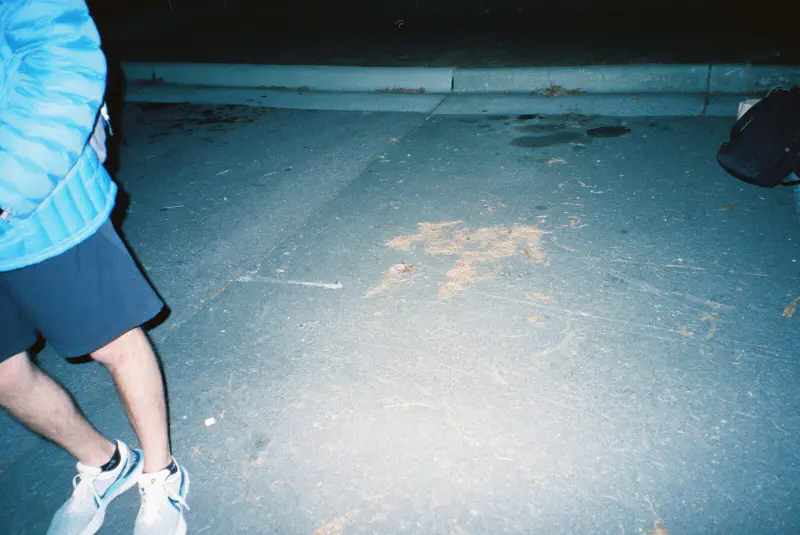 Film photograph