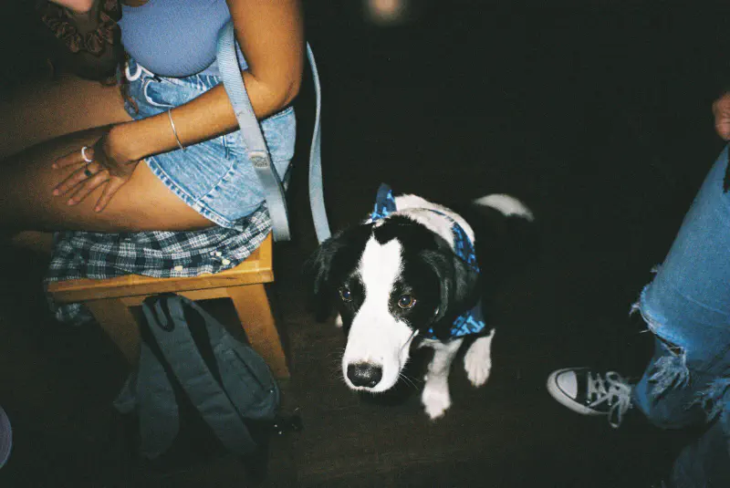 Film photograph