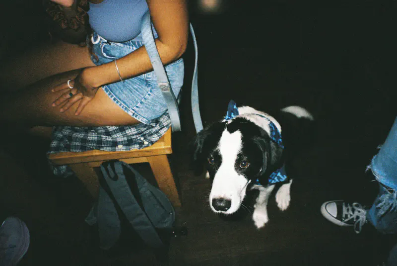 Film photograph