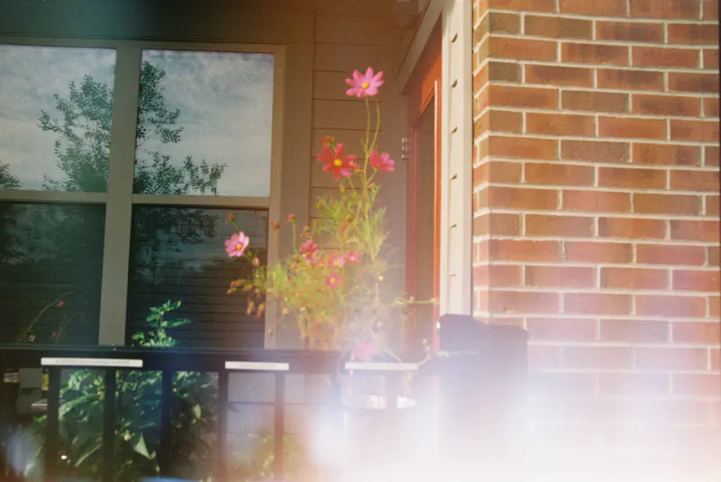 Film photograph