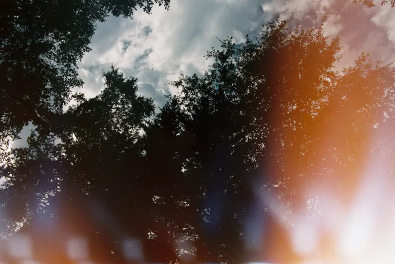 Film photograph