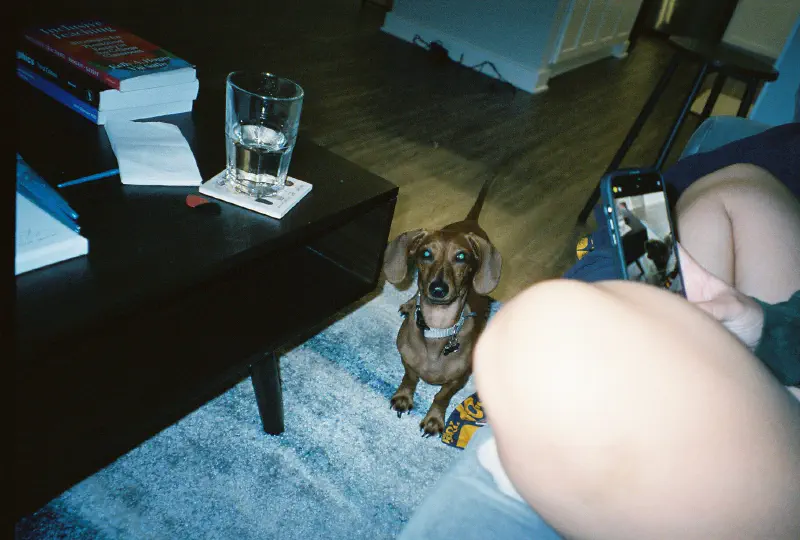 Film photograph